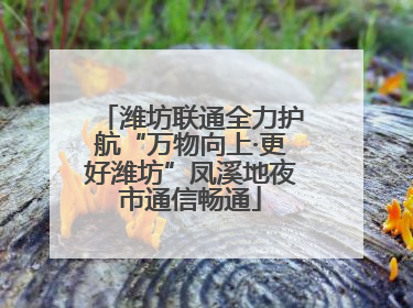 潍坊联通全力护航“万物向上·更好潍坊”凤溪地夜市通信畅通