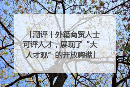 潮评丨外籍商贸人士可评人才，展现了“大人才观”的开放胸襟