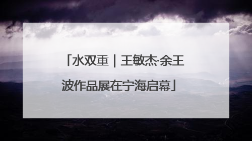 水双重｜王敏杰·余王波作品展在宁海启幕