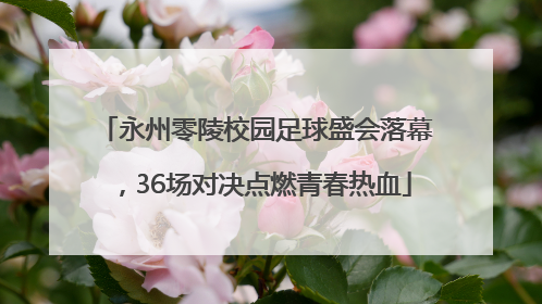 永州零陵校园足球盛会落幕，36场对决点燃青春热血