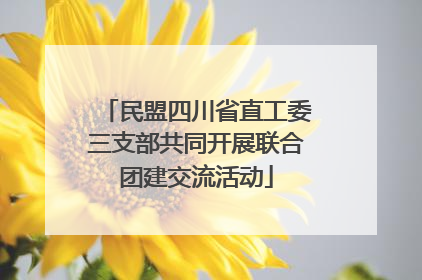 民盟四川省直工委三支部共同开展联合团建交流活动