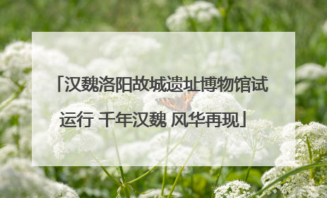 汉魏洛阳故城遗址博物馆试运行 千年汉魏 风华再现