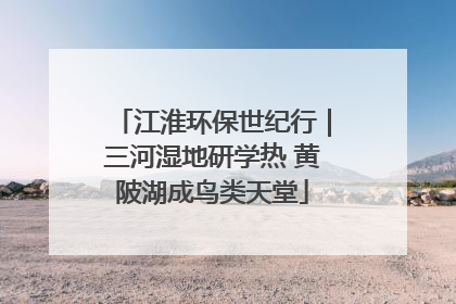 江淮环保世纪行｜三河湿地研学热 黄陂湖成鸟类天堂