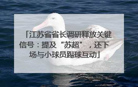 江苏省省长调研释放关键信号：提及“苏超”，还下场与小球员踢球互动