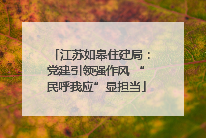 江苏如皋住建局：党建引领强作风 “民呼我应”显担当