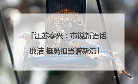 江苏泰兴：市说新语话廉洁 挺膺担当谱新篇
