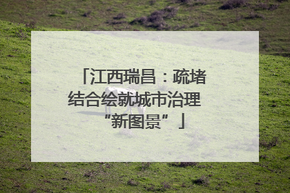 江西瑞昌：疏堵结合绘就城市治理“新图景”