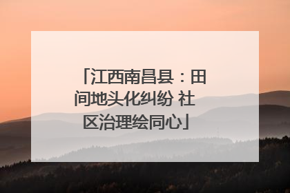 江西南昌县：田间地头化纠纷 社区治理绘同心