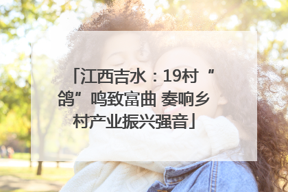 江西吉水：19村“鸽”鸣致富曲 奏响乡村产业振兴强音