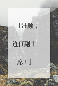汪顺，连任副主席！