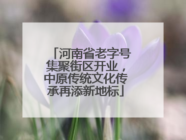 河南省老字号集聚街区开业，中原传统文化传承再添新地标