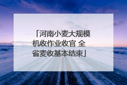 河南小麦大规模机收作业收官 全省麦收基本结束