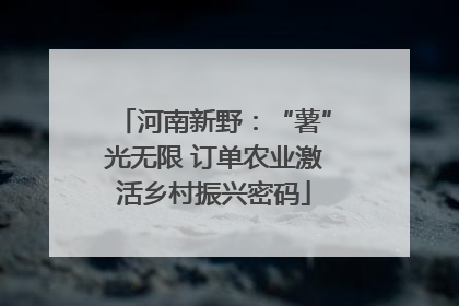 河南新野：“薯”光无限 订单农业激活乡村振兴密码