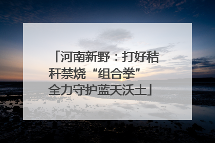 河南新野：打好秸秆禁烧“组合拳” 全力守护蓝天沃土