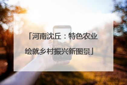 河南沈丘：特色农业绘就乡村振兴新图景