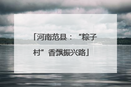 河南范县：“粽子村”香飘振兴路