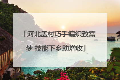 河北孟村巧手编织致富梦 技能下乡助增收