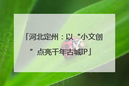 河北定州：以“小文创”点亮千年古城IP