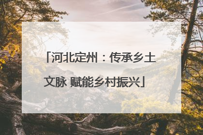 河北定州：传承乡土文脉 赋能乡村振兴
