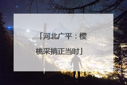 河北广平：樱桃采摘正当时