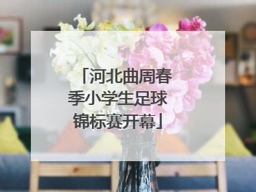 河北曲周春季小学生足球锦标赛开幕