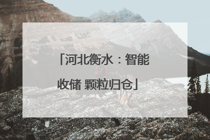 河北衡水：智能收储 颗粒归仓