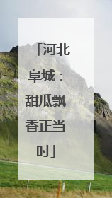 河北阜城：甜瓜飘香正当时
