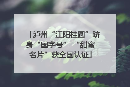 泸州“江阳桂圆”跻身“国字号” “甜蜜名片”获全国认证