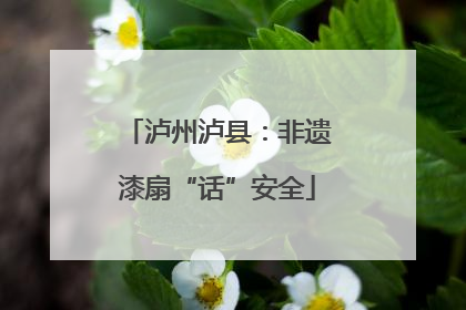 泸州泸县：非遗漆扇“话”安全