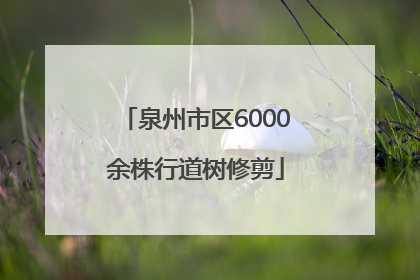 泉州市区6000余株行道树修剪
