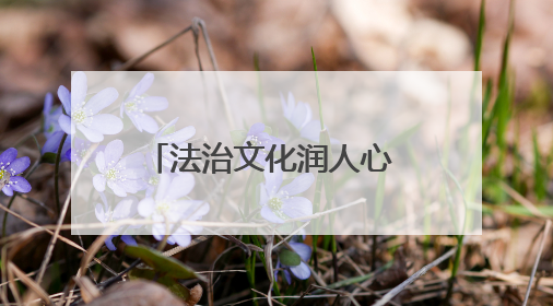 法治文化润人心 和美乡村绽新颜
