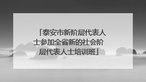 泰安市新阶层代表人士参加全省新的社会阶层代表人士培训班