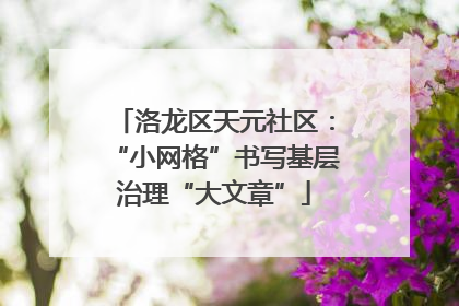 洛龙区天元社区：“小网格”书写基层治理“大文章”