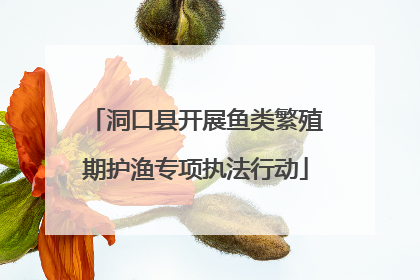 洞口县开展鱼类繁殖期护渔专项执法行动