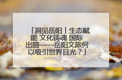 洞见岳阳丨生态赋能 文化铸魂 国际出圈——岳阳文旅何以吸引世界目光？