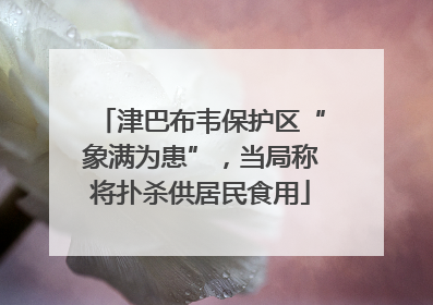津巴布韦保护区“象满为患”，当局称将扑杀供居民食用