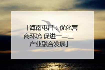海南屯昌：优化营商环境 促进一二三产业融合发展