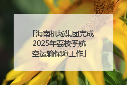 海南机场集团完成2025年荔枝季航空运输保障工作