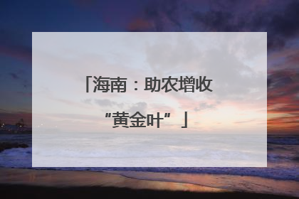 海南：助农增收 “黄金叶”