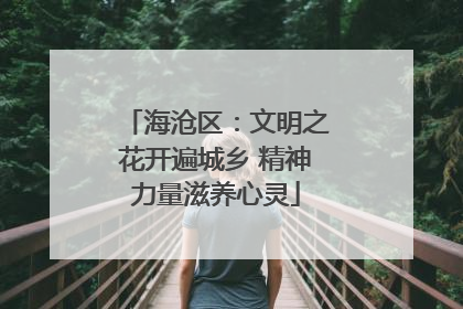 海沧区：文明之花开遍城乡 精神力量滋养心灵