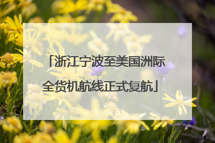 浙江宁波至美国洲际全货机航线正式复航