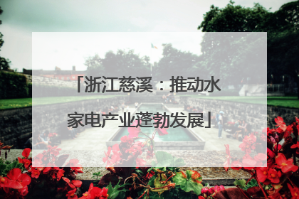 浙江慈溪：推动水家电产业蓬勃发展
