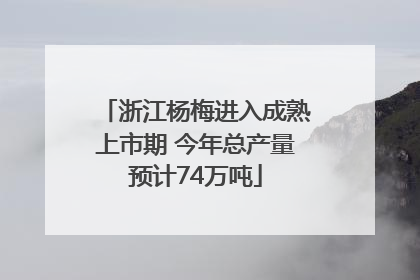 浙江杨梅进入成熟上市期 今年总产量预计74万吨