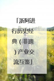 浙阿进行历史经典（非遗）产业交流互鉴
