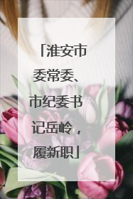 淮安市委常委、市纪委书记岳岭，履新职