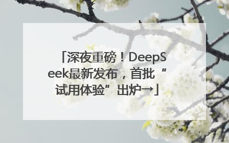 深夜重磅！DeepSeek最新发布，首批“试用体验”出炉→