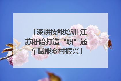 深耕技能培训 江苏盱眙打造“职”通车赋能乡村振兴