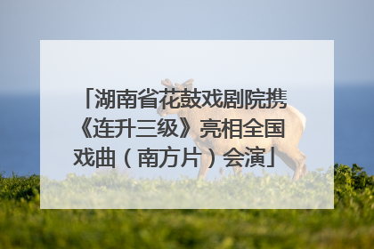 湖南省花鼓戏剧院携《连升三级》亮相全国戏曲（南方片）会演