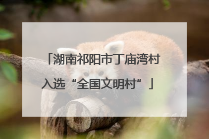湖南祁阳市丁庙湾村入选“全国文明村”
