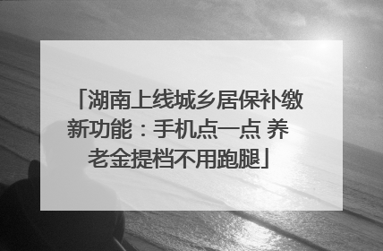 湖南上线城乡居保补缴新功能：手机点一点 养老金提档不用跑腿